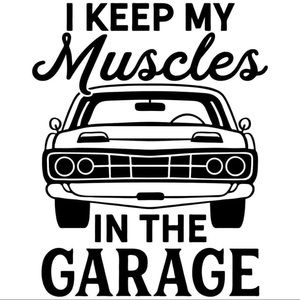 NWT Car guy Decals